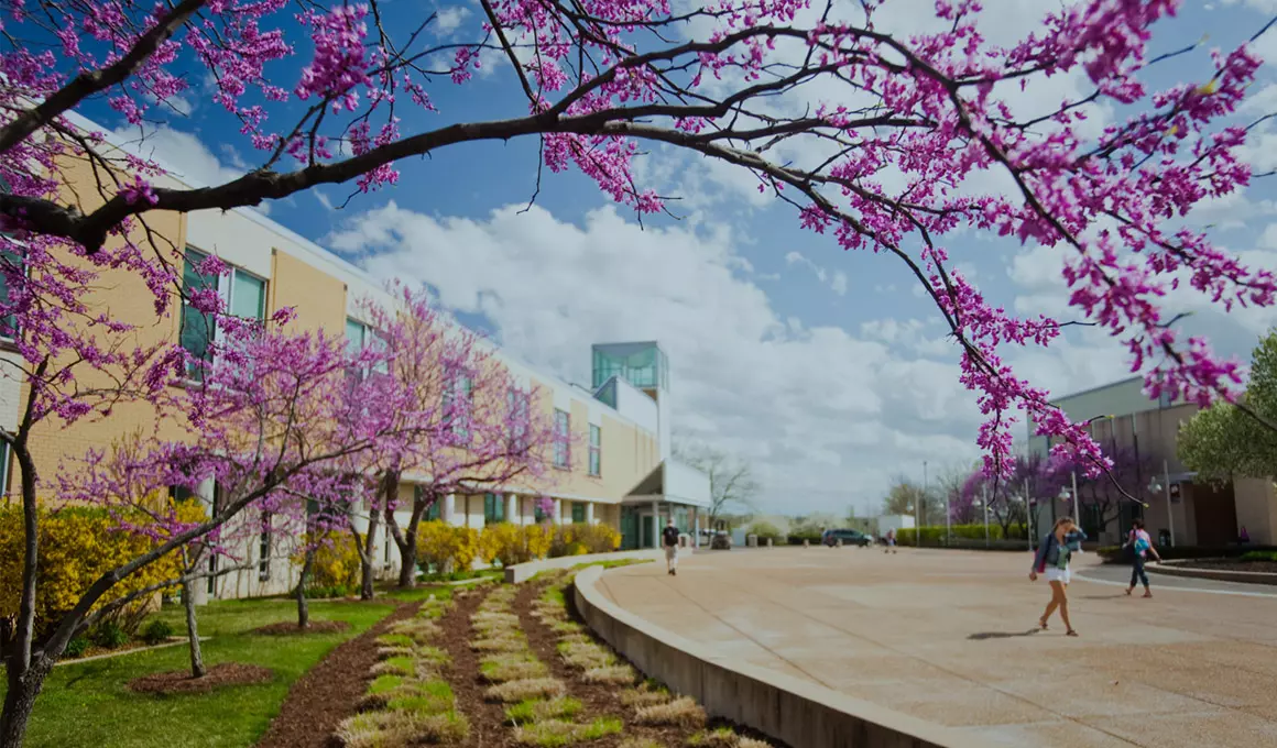 St. Charles Community College campus in the spring accented by a tree blooming with little purple flower buds