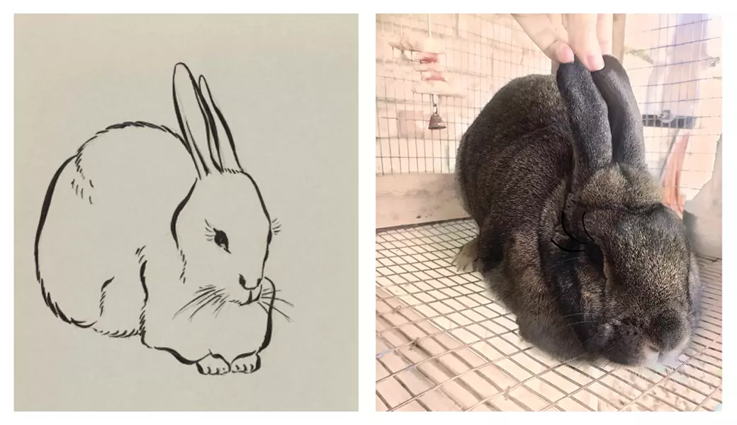 Side by side comparison of our recreated interpretation of the art piece "Three Quarter View of Rabbit"