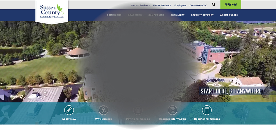 Screenshot of website with filter to demonstrate how people with Macular Degeneration views websites.